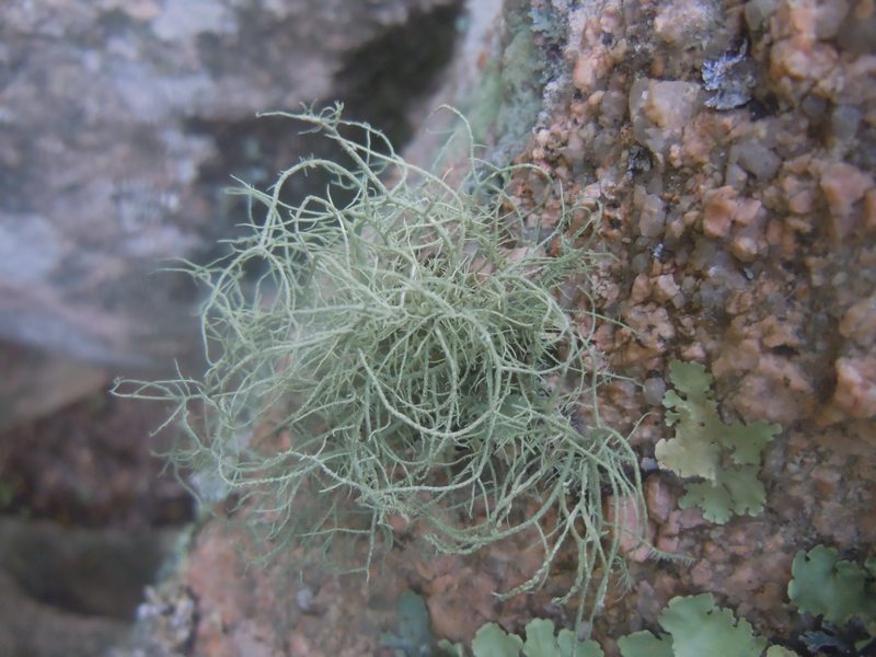 sui graniti di Monte Moro